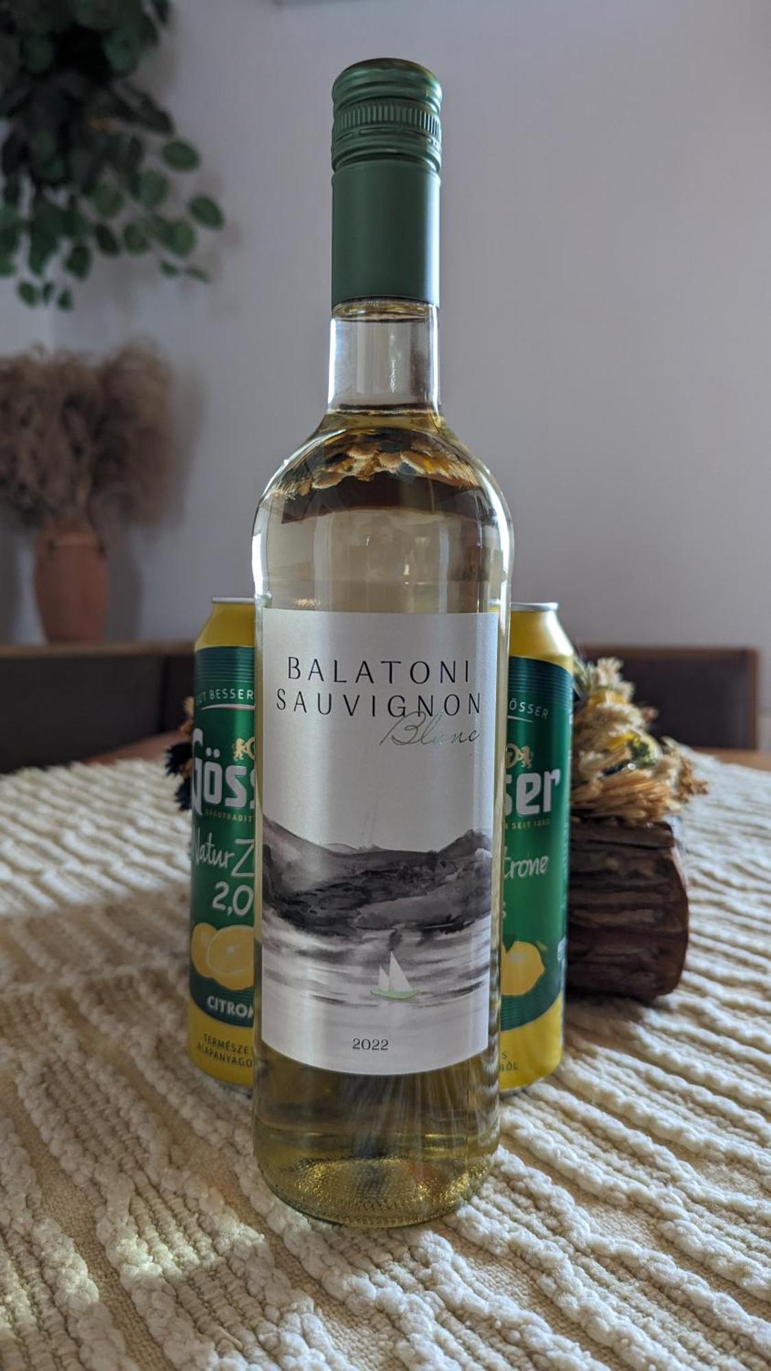 Viragos Apartman Balatonszárszó Dış mekan fotoğraf