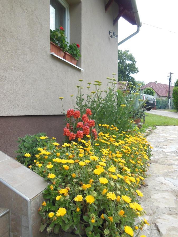 Viragos Apartman Balatonszárszó Dış mekan fotoğraf